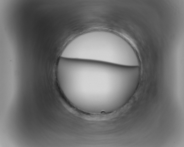 X0000113750009200909301041