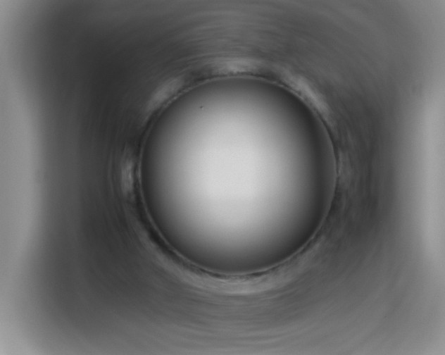 X0000113750010200909301041