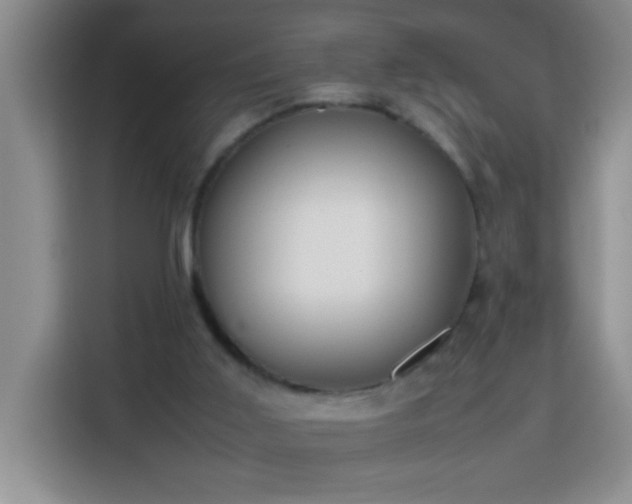 X0000113750011200909301041