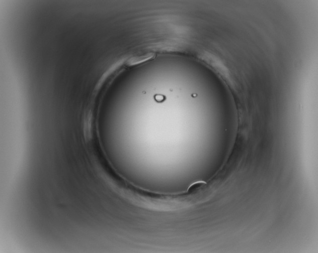 X0000113750012200909301041