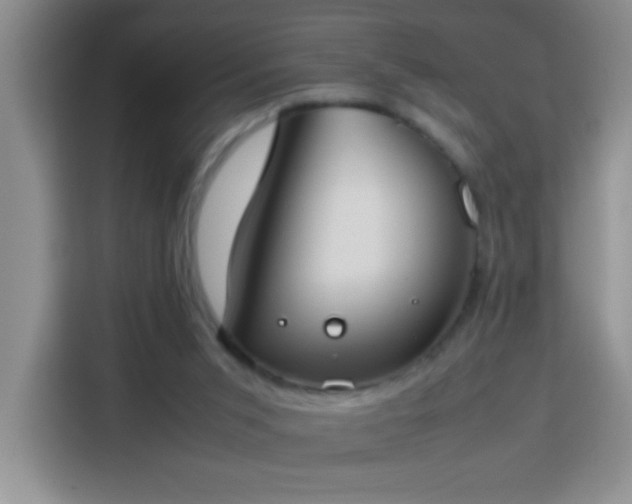 X0000113750015200909301041