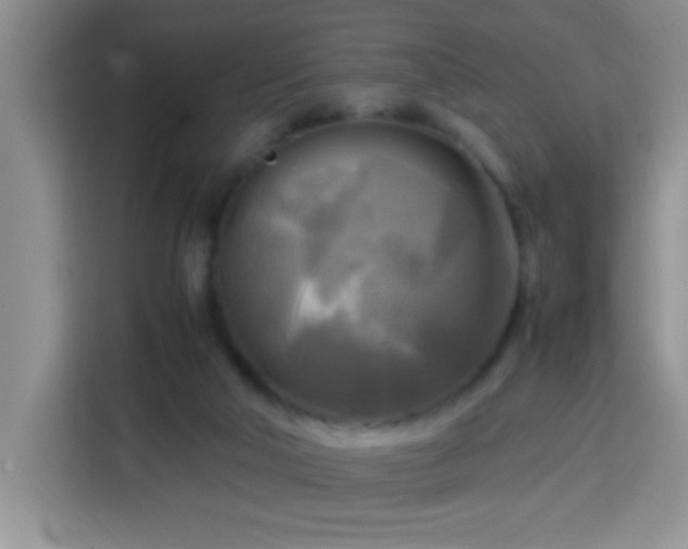 X0000113750018200909301041