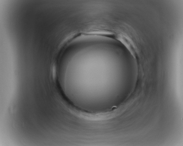 X0000113750019200909301041