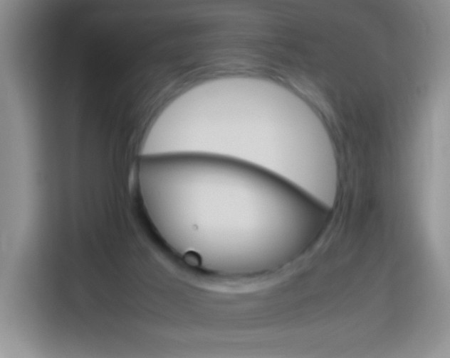 X0000113750021200909301041