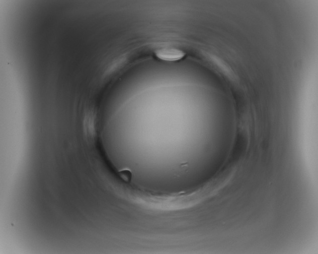 X0000113750023200909301041