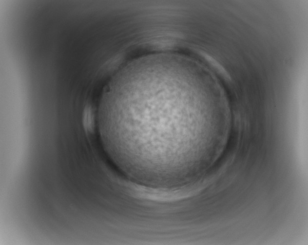 X0000113750026200909301041