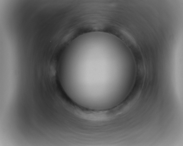 X0000113750032200909301040