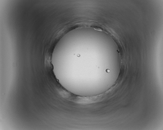 X0000113750045200909301040