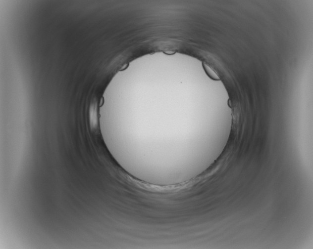 X0000113750046200909301040