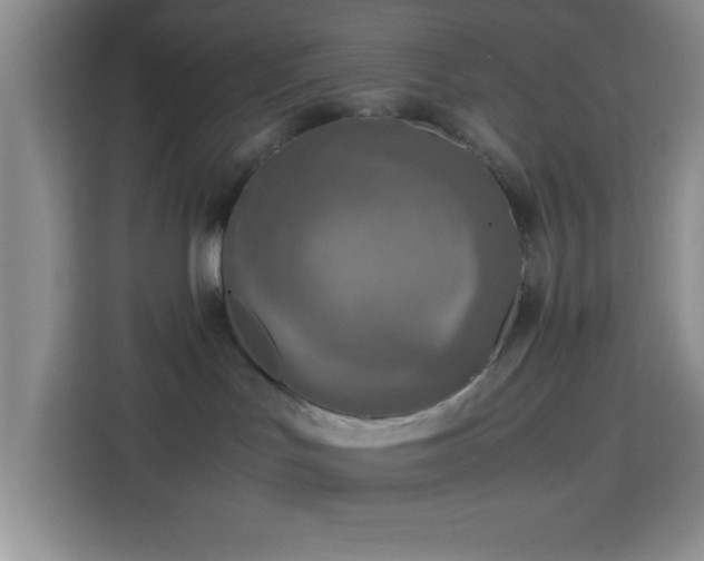 X0000113750047200909301040