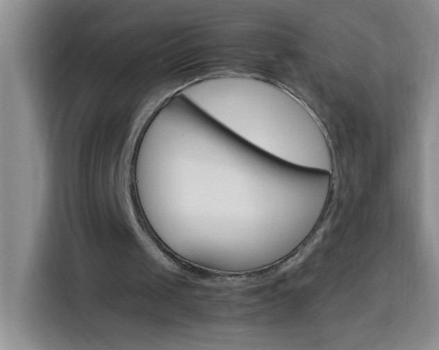 X0000113750049200909301040