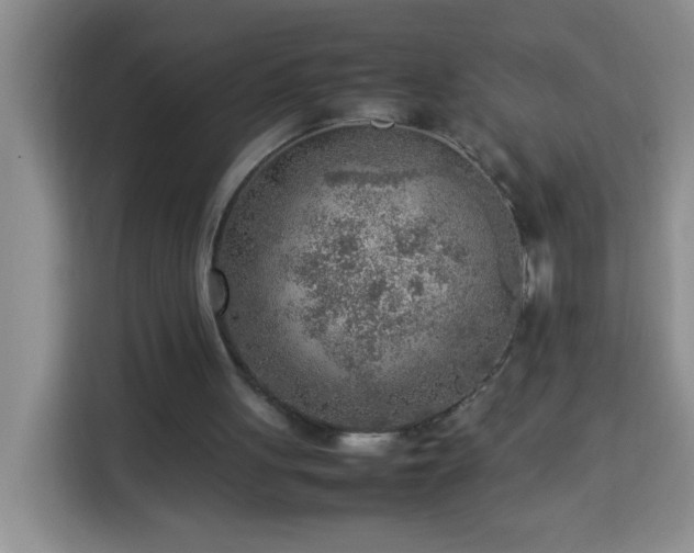 X0000113750051200909301040