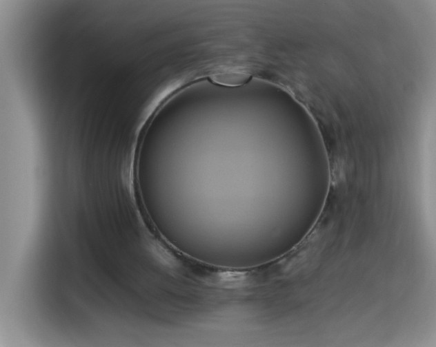 X0000113750052200909301040