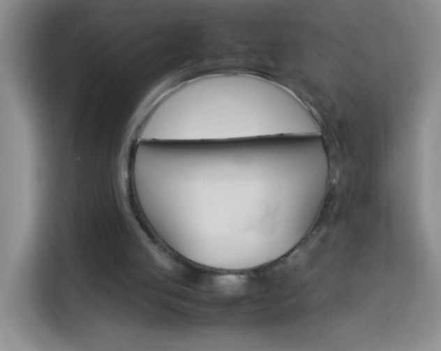 X0000113750053200909301040