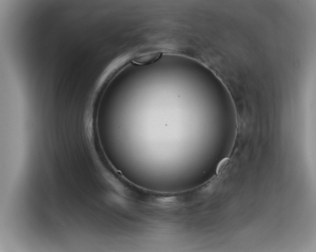 X0000113750054200909301040