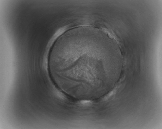 X0000113750055200909301040