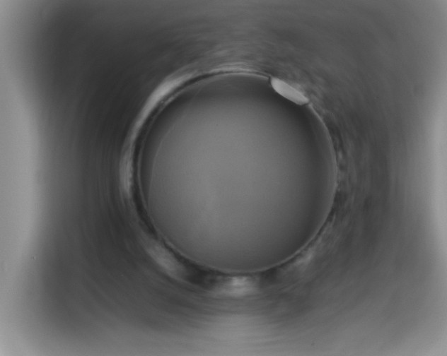 X0000113750056200909301040