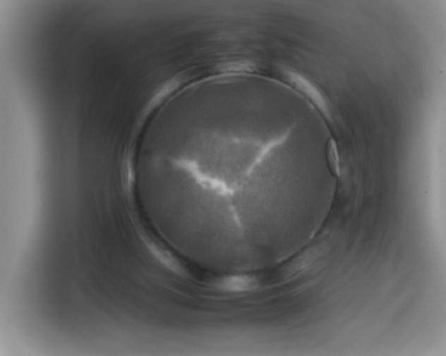 X0000113750059200909301040