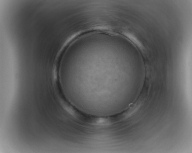 X0000113750060200909301040