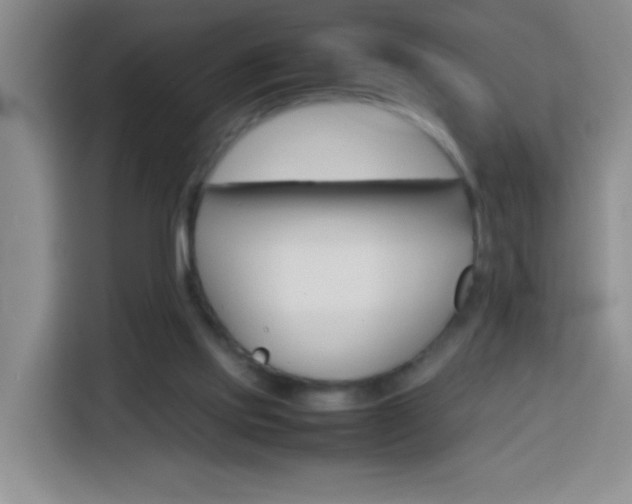 X0000113750061200909301040