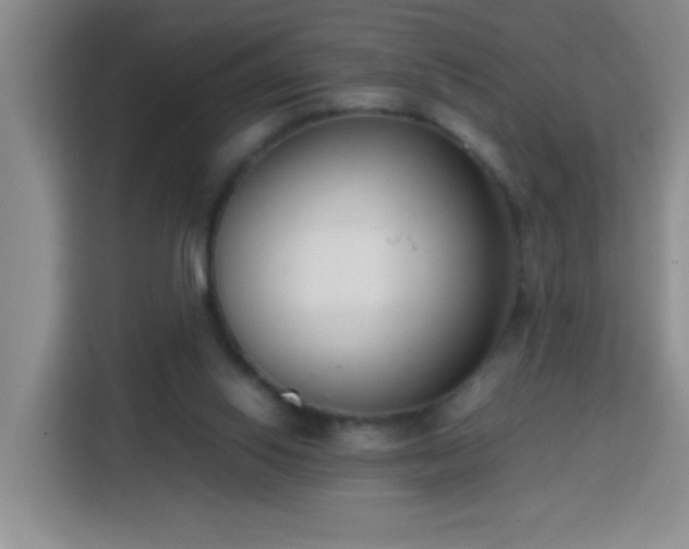 X0000113750062200909301040