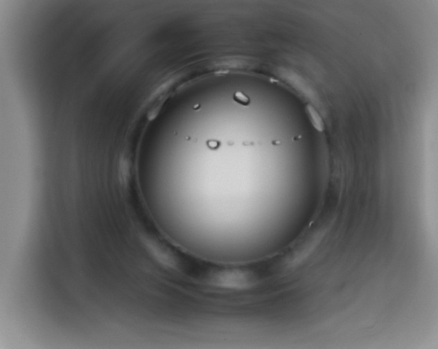 X0000113750063200909301040