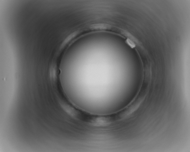 X0000113750064200909301040