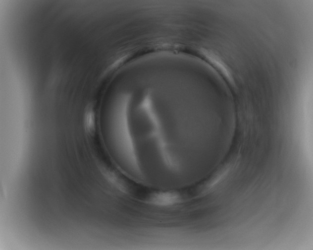 X0000113750067200909301040