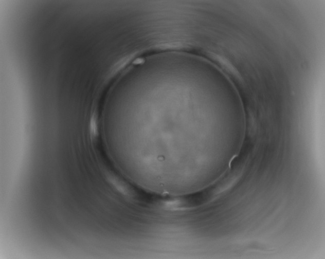 X0000113750068200909301040