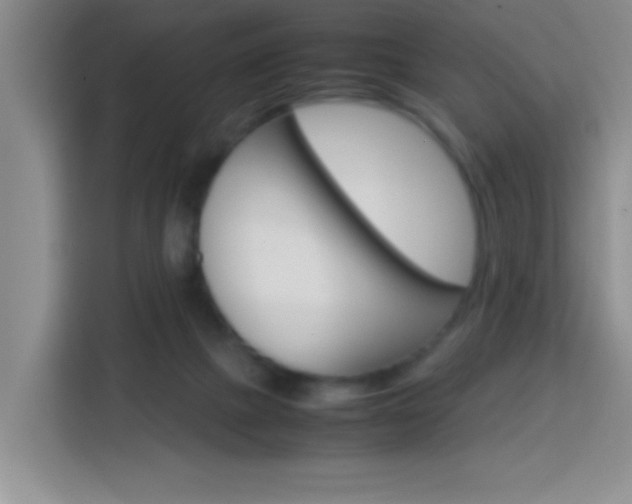 X0000113750073200909301040