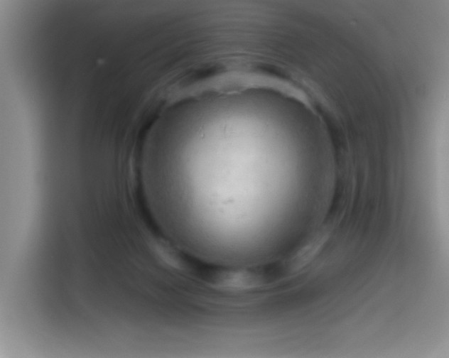 X0000113750074200909301040