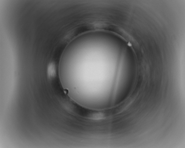 X0000113750075200909301040