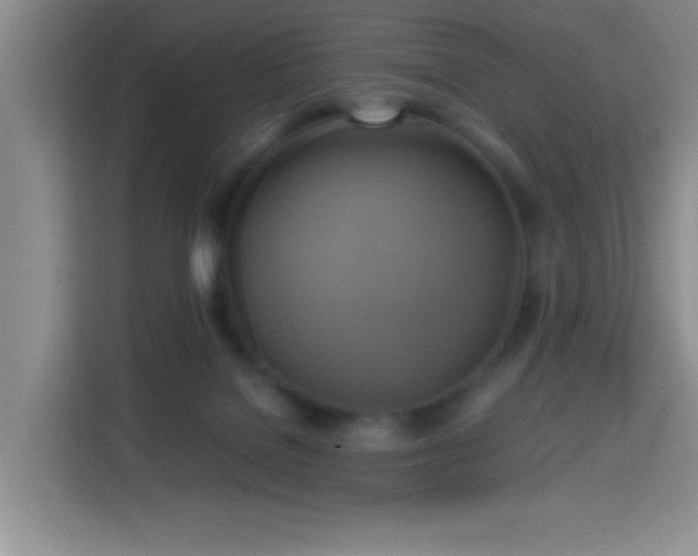 X0000113750076200909301040