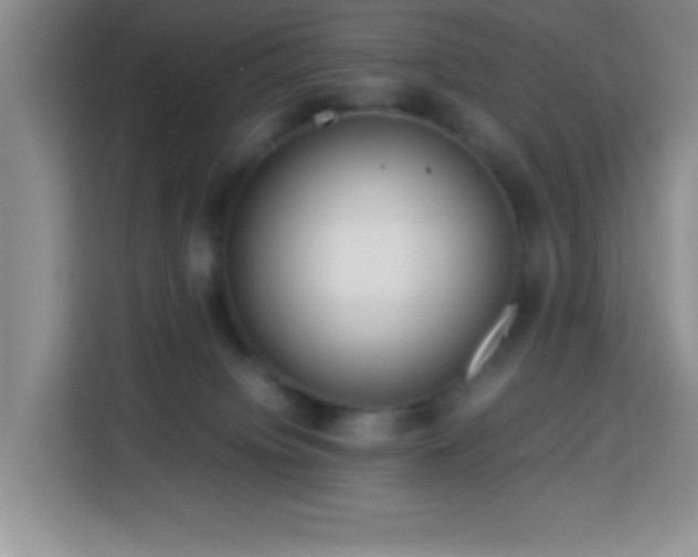 X0000113750084200909301040