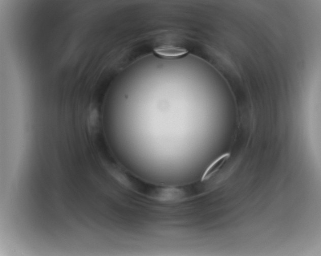 X0000113750087200909301040