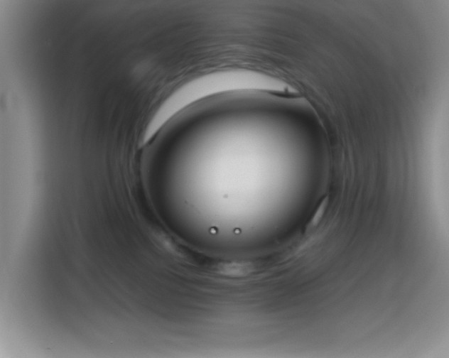 X0000113750088200909301040