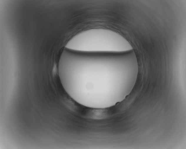 X0000113750089200909301040