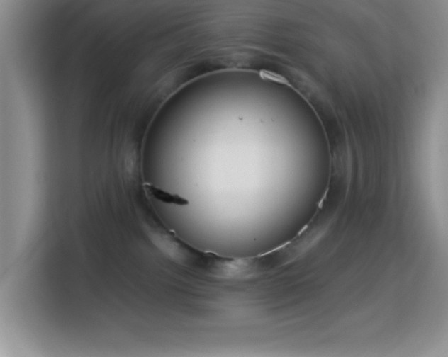 X0000113750092200909301040