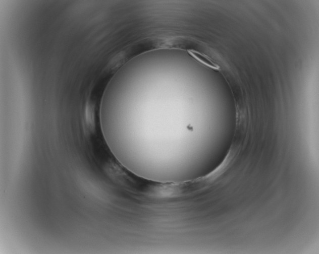 X0000113750094200909301040