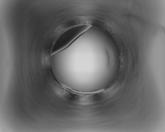 X0000113750096200909301040