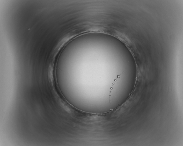 X0000113750098200909301040