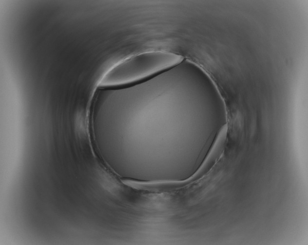 X0000113750100200909301040