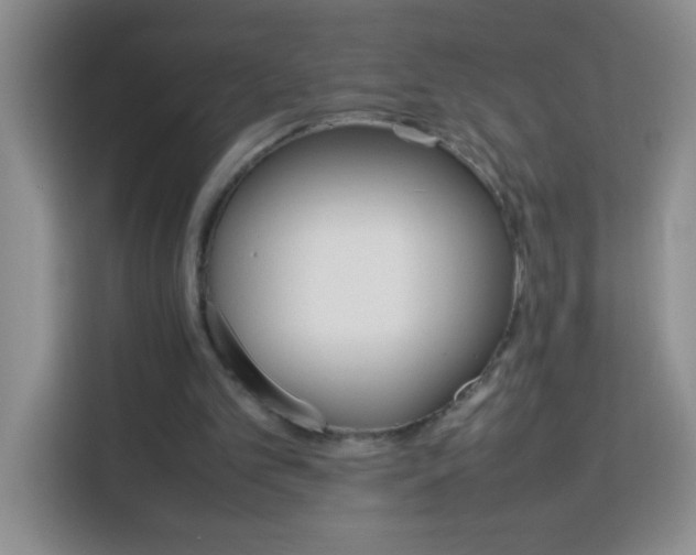 X0000113750101200909301040