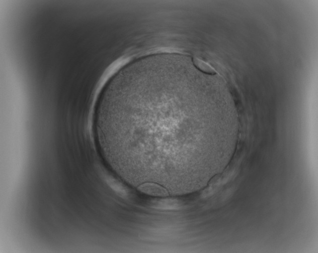 X0000113750104200909301040