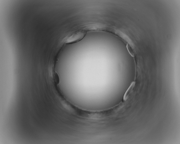 X0000113750105200909301039