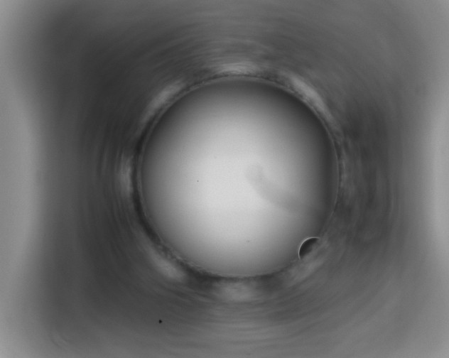 X0000113750106200909301039