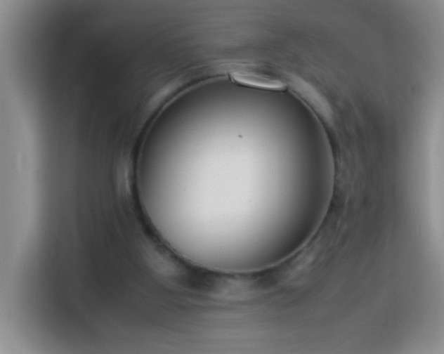 X0000113750107200909301039