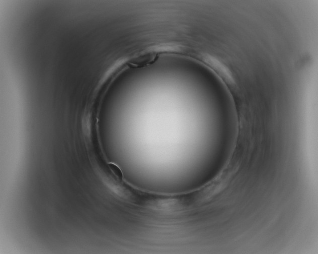 X0000113750108200909301039