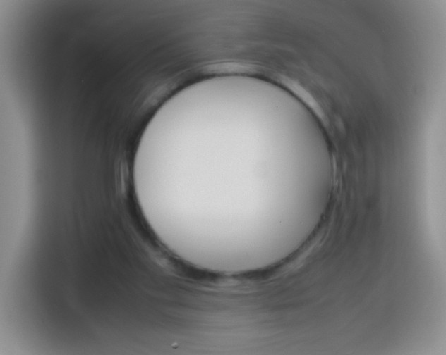 X0000113750109200909301039