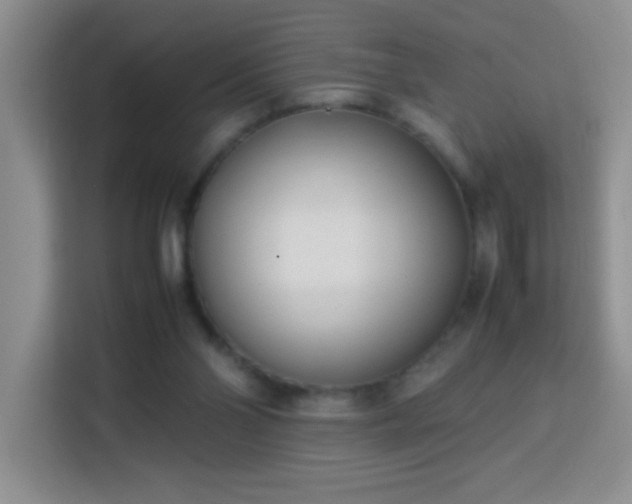 X0000113750110200909301039